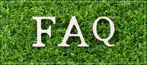 Frequently Asked Questions About Revive Health and Beauty in Frisco, TX